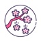 Wucemi Boweci is a cherry blossom-themed iMessage sticker, which contains various cherry blossom scenes