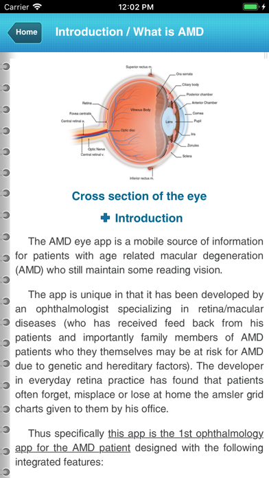 AMD_eye screenshot 3