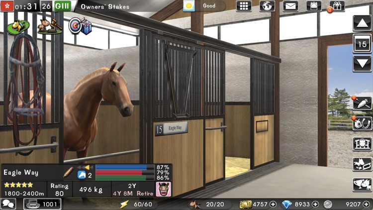 iHorse：The Horse Racing Arcade screenshot-7