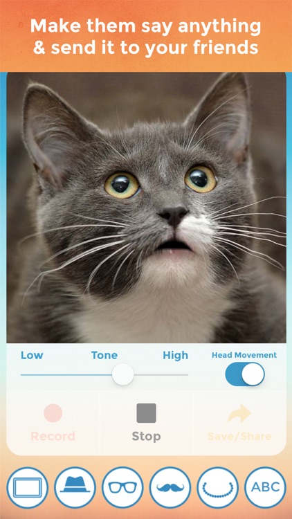 My Talking Pet