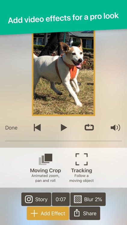 Less Is More screenshot-5