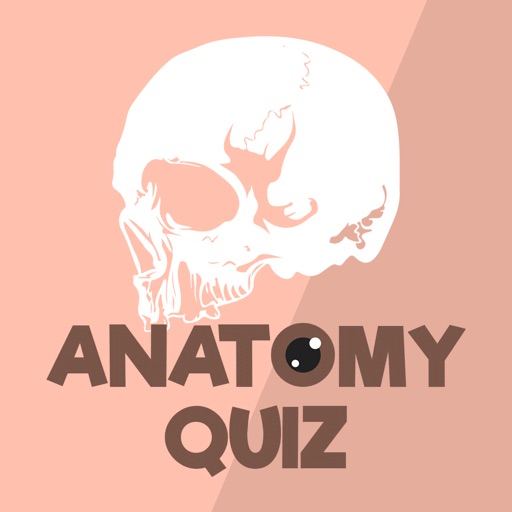 Anatomy & Physiology Quiz Icon