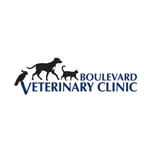boulevard veterinary clinic
