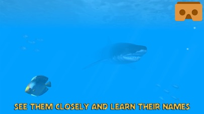 How to cancel & delete VR Ocean Aquarium 3D from iphone & ipad 4