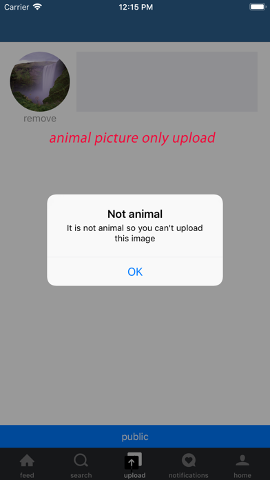 animalPhoto screenshot 4