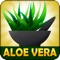 Aloe Vera Benefits : Aloe Vera Uses app for Free