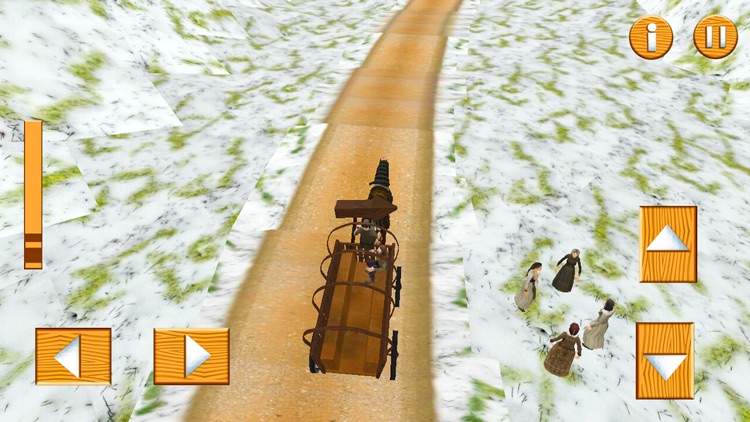 My Horse Buggy Transportation
