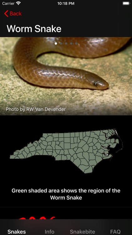 Snakes of North Carolina