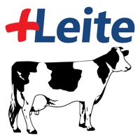 Matsuda +Leite sur PC