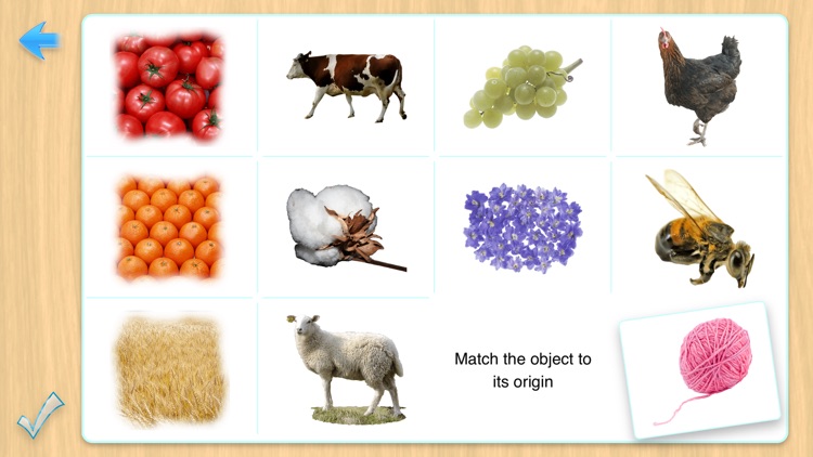 4th Preschool Prep Flashcards screenshot-3