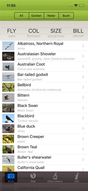 NZBirder(圖1)-速報App