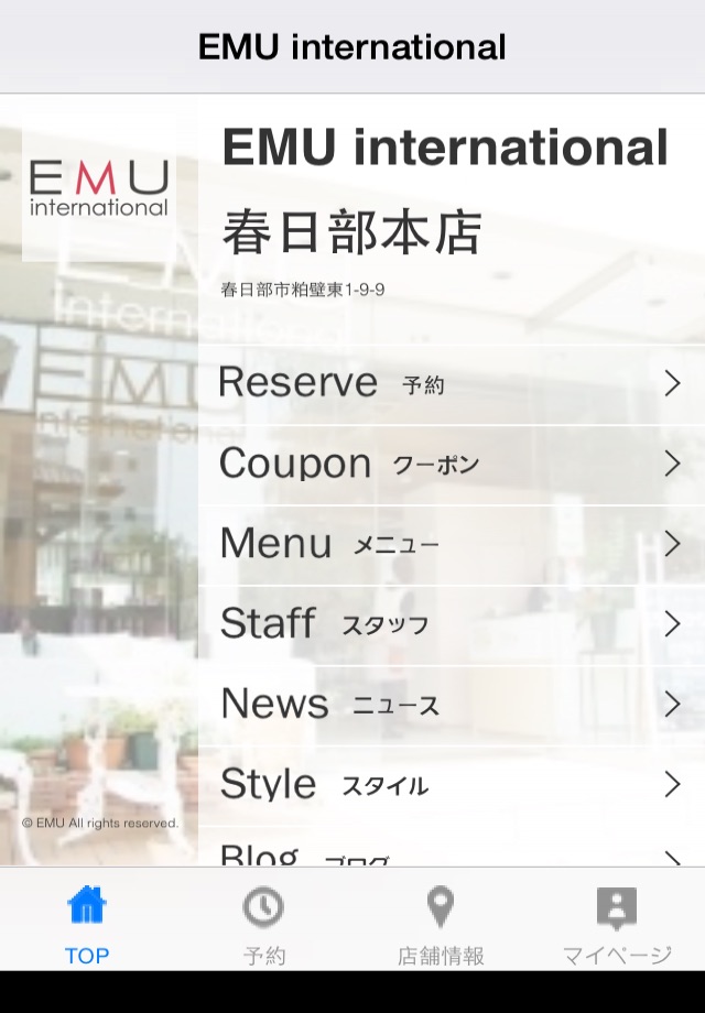 EMU international screenshot 2
