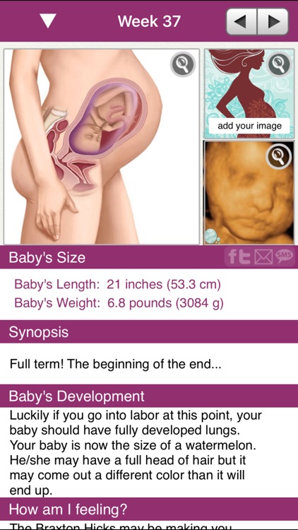 iPregnant Pregnancy Tracker