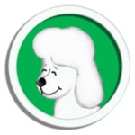 Bailey and the Blind man