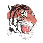 Mansfield City Schools Tygers