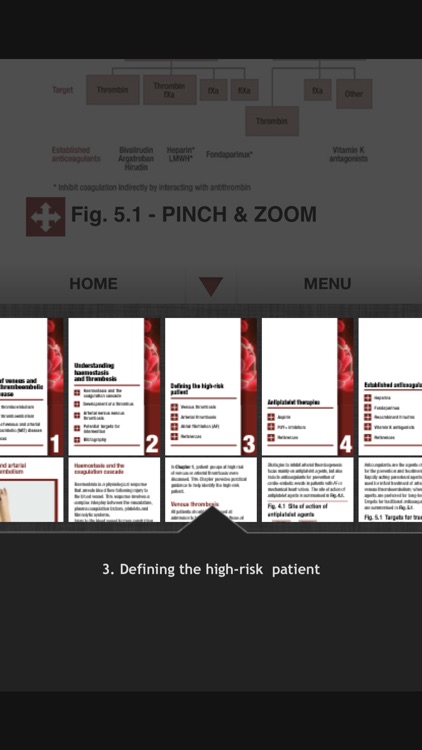 Antithrombotic Therapy screenshot-5