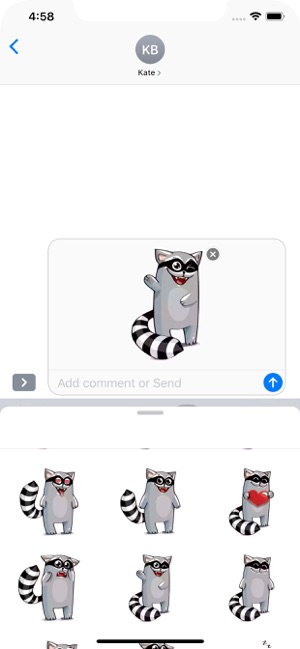 Racoon Stickers Pack(圖9)-速報App