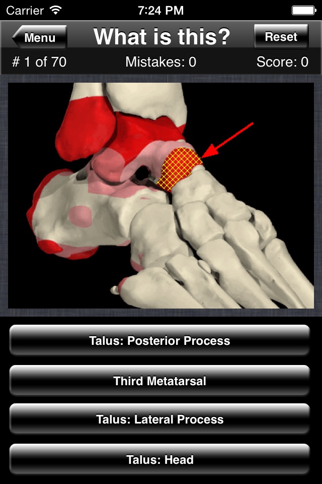 Anatomy Foot Quiz screenshot 3