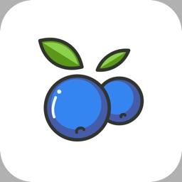 Blueberry List