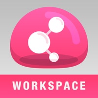 Check Point Capsule Workspace apk