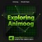Learn all about Animoog and its revolutionary Anisotropic synthesis engine in this deep, 21-video tutorial by Expert Synthesist, Rishabh Rajan