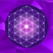 “What you think you create, what you feel you attract, what you imagine you become