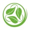 Мобильное приложение Green List позволяет заказать оптом свежую зелень с доставкой по Москве