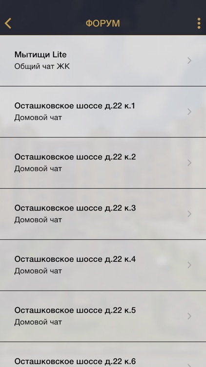 Мытищи Lite screenshot-3