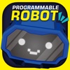 Programmable Robot