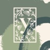 Укроп Укроп