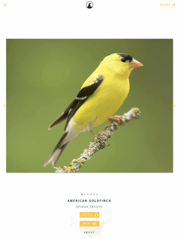 Screenshot #4 pour NWF Guide to Birds