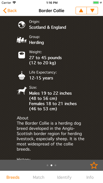 Perfect Dog Free - Ultimate Breed Guide To Dogs screenshot