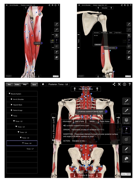 Muscle System Pro III screenshot-4