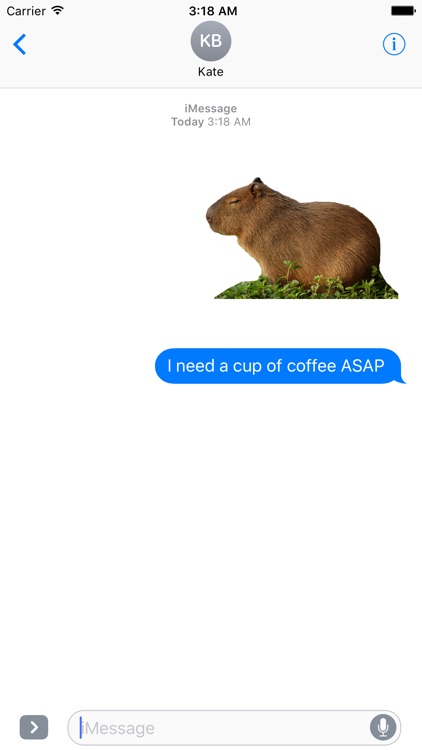 Capybara Stickers for Messages screenshot-4