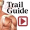 PalpationMapp is an easy-to-navigate visual guide to identifying and palpating 91 essential muscles