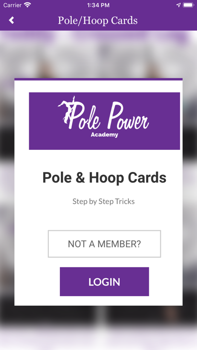 Pole Power Academy screenshot 3