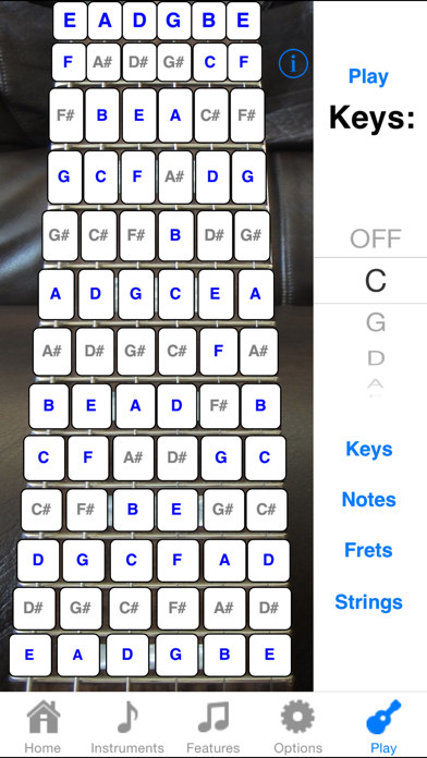 How to cancel & delete Electric Guitar Fret Addict from iphone & ipad 4