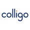 ***** "Colligo provides the most secure, robust and easy-to-use solution for accessing, syncing and viewing SharePoint content on an iPad