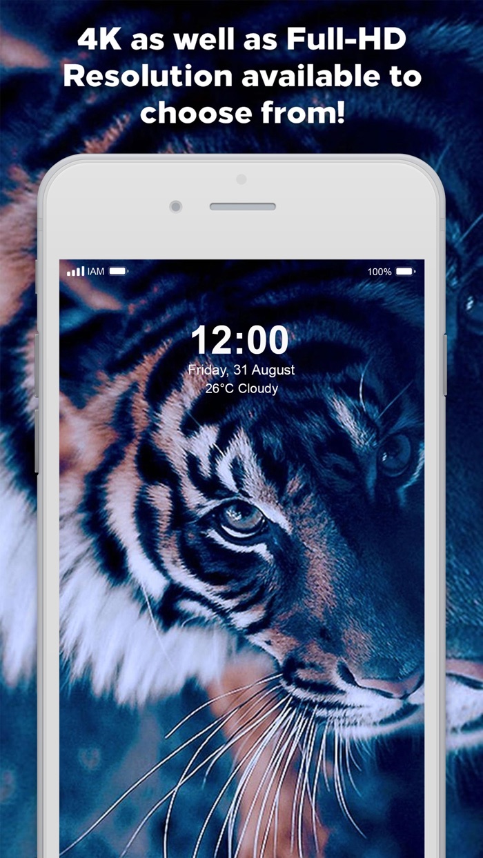 Wallpapers for iPhone 4K  HD