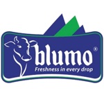 Blumo Asal