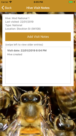 Apiarist 2019(圖4)-速報App