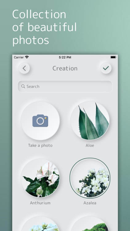 GreenS: Plants care assistant screenshot-3