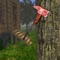 Forest Survival - a free action 3D simulation of survival in the first person