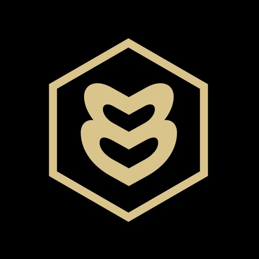 BeautyBox - For Experts Icon