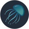 Jellyfish - Supplier Rep