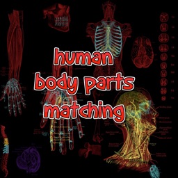 Human Body Parts Matching