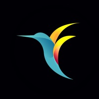 Contact bebird-Ear Care Specialist