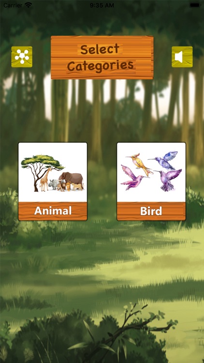 Learn Animals & birds