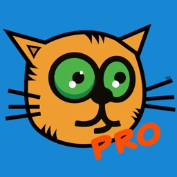 Jive Kitty Games Pro