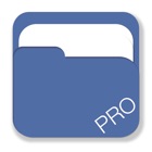 File Pro : Professional File Manager and Reader With File Sharing, Audio Recording and Upload to Cloud Drives
